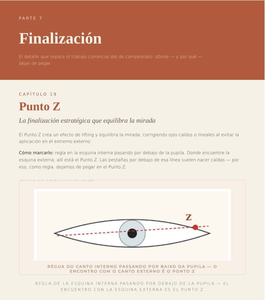 El Punto Z: dónde dejar de pegar